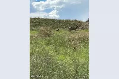 26 Colt Trail, Sonoita, AZ 85637 - Photo 96