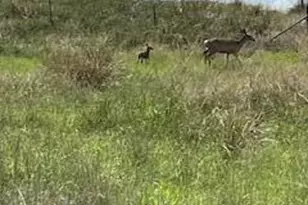 26 Colt Trail, Sonoita, AZ 85637 - Photo 96