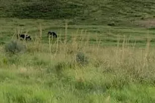 26&36 Colt Trail, Sonoita, AZ 85637 - Photo 36