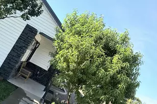 775 N Apple Blossom Ln, Snowflake, AZ 85937 - Photo 38