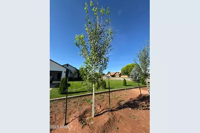 775 N Apple Blossom Lane, Snowflake, AZ 85937 - Photo 40