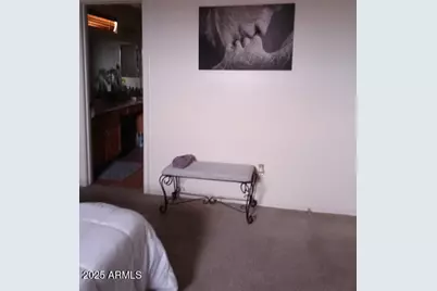 2507 W Tanner Ranch Road, San Tan Valley, AZ 85144 - Photo 8