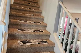 2507 W Tanner Ranch Rd, San Tan Valley, AZ 85144 - Photo 32