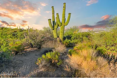 9698 E Taos Drive #257, Scottsdale, AZ 85262 - Photo 10