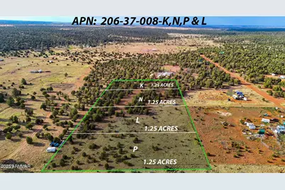 Tbd Flake Rd Lots L & P 2.54 Acres -- #-, Aripine, AZ 85933 - Photo 4