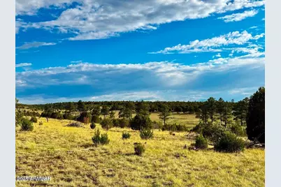 Tbd Flake Rd Lots L & P 2.54 Acres -- #-, Aripine, AZ 85933 - Photo 28