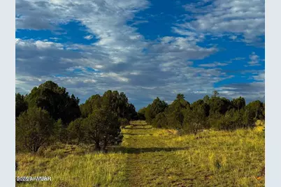 Tbd Flake Rd Lots L & P 2.54 Acres -- #-, Aripine, AZ 85933 - Photo 26
