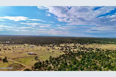 Tbd Flake Rd Lots L & P 2.54 Acres -- #-, Aripine, AZ 85933 - Photo 18