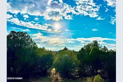 Tbd Flake Rd Lots L & P 2.54 Acres -- #-, Aripine, AZ 85933 - Photo 8