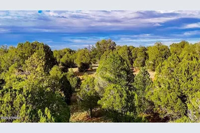 Tbd Flake Rd Lots L & P 2.54 Acres -- #-, Aripine, AZ 85933 - Photo 14