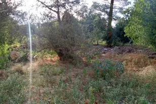 3077 S Wagner Dr, Camp Verde, AZ 86322 - Photo 1