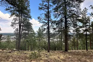 1548 W Lower Coconino, Flagstaff, AZ 86001 - Photo 1