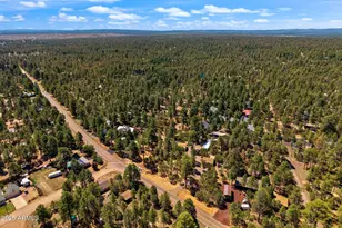 2884 Pine Rim Rd, Overgaard, AZ 85933 - Photo 78