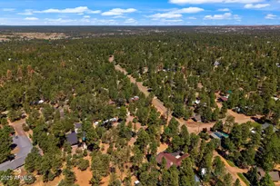 2884 Pine Rim Rd, Overgaard, AZ 85933 - Photo 76