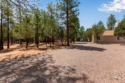 2884 Pine Rim Road, Overgaard, AZ 85933 - Photo 40
