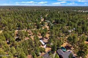 2884 Pine Rim Rd, Overgaard, AZ 85933 - Photo 80