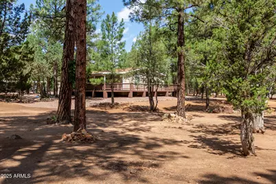 2884 Pine Rim Road, Overgaard, AZ 85933 - Photo 4