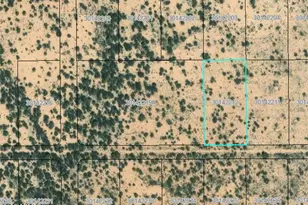 1400 Appx E Tamarack Rd, Bowie, AZ 85605 - Photo 2