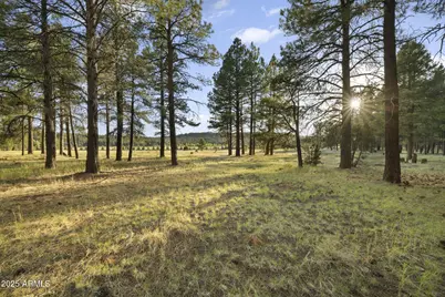 277 E Foxboro Ranch Road #6, Munds Park, AZ 86017 - Photo 6