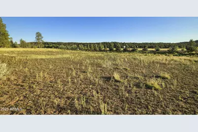 277 E Foxboro Ranch Road #6, Munds Park, AZ 86017 - Photo 10