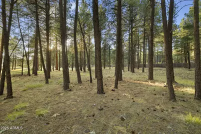 277 E Foxboro Ranch Road #6, Munds Park, AZ 86017 - Photo 4