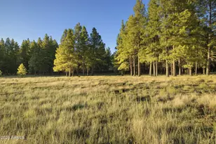 277 E Foxboro Ranch Rd, Munds Park, AZ 86017 - Photo 1