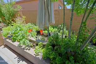 6660 N 128th Ln, Glendale, AZ 85307 - Photo 46