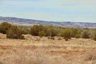 Tbd County Rd 5407 204-50-330A, Concho, AZ 85924 - Photo 1