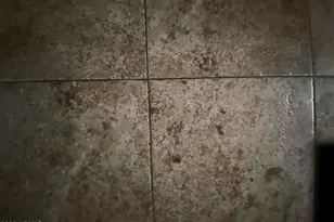 2209 W Klamath Ave, Apache Junction, AZ 85119 - Photo 18