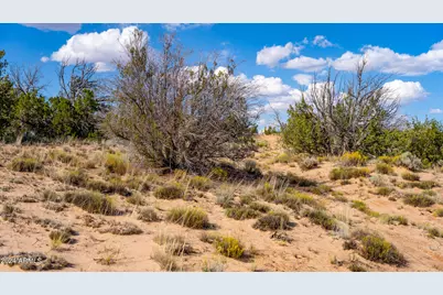 Xx00 N N7204 -- #-, Saint Johns, AZ 85936 - Photo 10