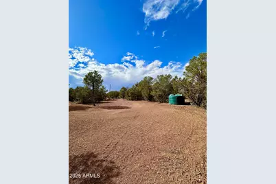 14 County Rd N3573 -- #028, Vernon, AZ 85940 - Photo 20