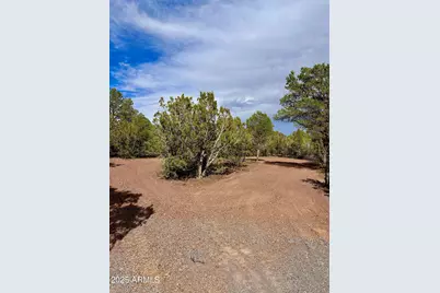 14 County Rd N3573 -- #028, Vernon, AZ 85940 - Photo 6