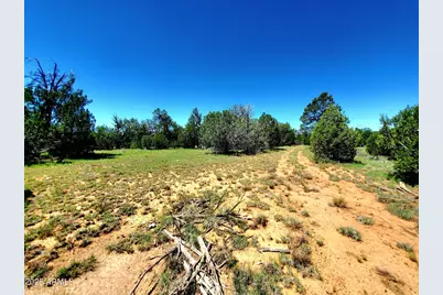8571 Haven Crest Drive #229, Happy Jack, AZ 86024 - Photo 1
