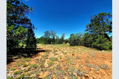 8571 Haven Crest Drive #229, Happy Jack, AZ 86024 - Photo 8