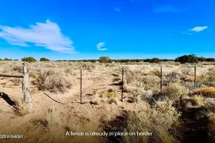 Tbd Cedar Hills 104 79 Acres --, Saint Johns, AZ 85936 - Photo 1