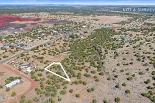 8795 Luana Dr, Show Low, AZ 85901 - Photo 1