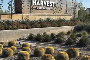 22630 E Mewes Rd, Queen Creek, AZ 85142 - Photo 24