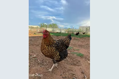 10379 E Blue Sky Vista, Hereford, AZ 85615 - Photo 58
