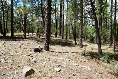 283 S Lookout Trail #44, Payson, AZ 85541 - Photo 2