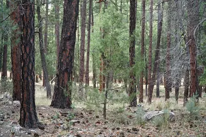 283 S Lookout Trail #44, Payson, AZ 85541 - Photo 6