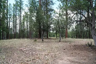 283 S Lookout Trail #44, Payson, AZ 85541 - Photo 10