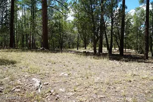 283 S Lookout Trail, Payson, AZ 85541 - Photo 1