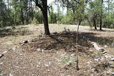 283 S Lookout Trail #44, Payson, AZ 85541 - Photo 4