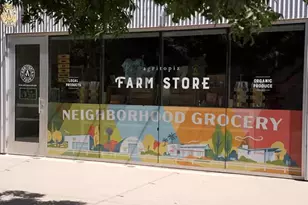 3068 E Tamarisk St, Gilbert, AZ 85296 - Photo 78