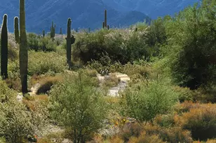 18135 W Willow Dr W, Goodyear, AZ 85338 - Photo 68