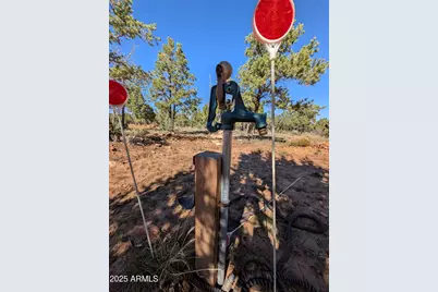 7267 Red Feather Court, Happy Jack, AZ 86024 - Photo 12