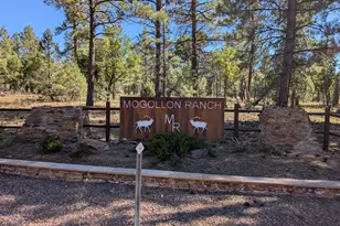 7267 Red Feather Ct, Happy Jack, AZ 86024 - Photo 6