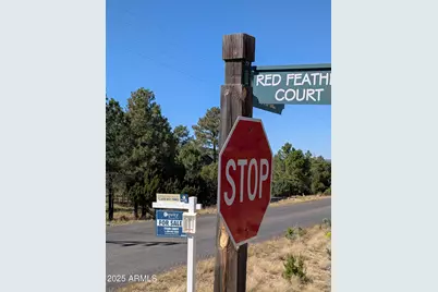 7267 Red Feather Court, Happy Jack, AZ 86024 - Photo 8