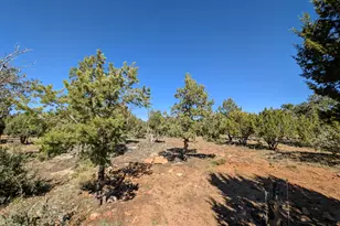 7267 Red Feather Ct, Happy Jack, AZ 86024 - Photo 18