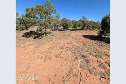 7267 Red Feather Court, Happy Jack, AZ 86024 - Photo 16